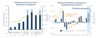 Grafik Goldproduzenten Dividende und Wachstumsveränderungen Grafik Goldproduzenten Dividende und Wachstumsveränderungen
